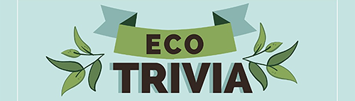 Ecotrivia