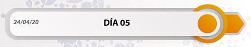 Día 5