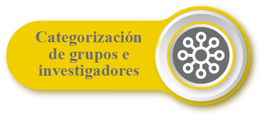 Categorización de grupos e investigadores