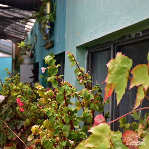Fotografía Wilmar Sebastián Flechas