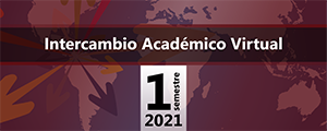 Intercambio Académico Virtual