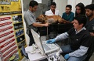 http://www.uptc.edu.co/universidad/modules/imag/2020/Carolina_Marixo_Fonseca.jpg