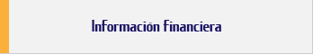 Información financiera