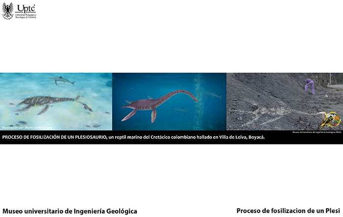 Museo Geológico Museo Geológico